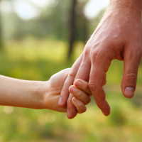 father's hand lead his child son in summer forest nature outdoor