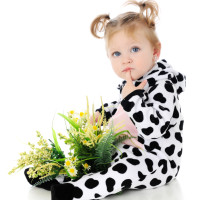 An adorable baby girl with a lap full of wild flowers, thinking in her cow costume.  On a white background.