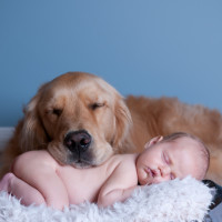 Baby with Dog
