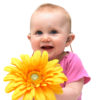 Cute baby girl sits against white background holding large yellow flower